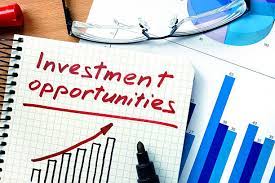 Investment Opportunities in Lagos